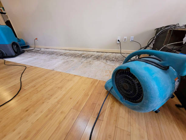 Reliable Flood Damage Restoration contractor in Nashville, MI by Hirex Water Damage