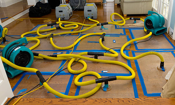 Professional Flood Damage Restoration technician working in Nashville, MI